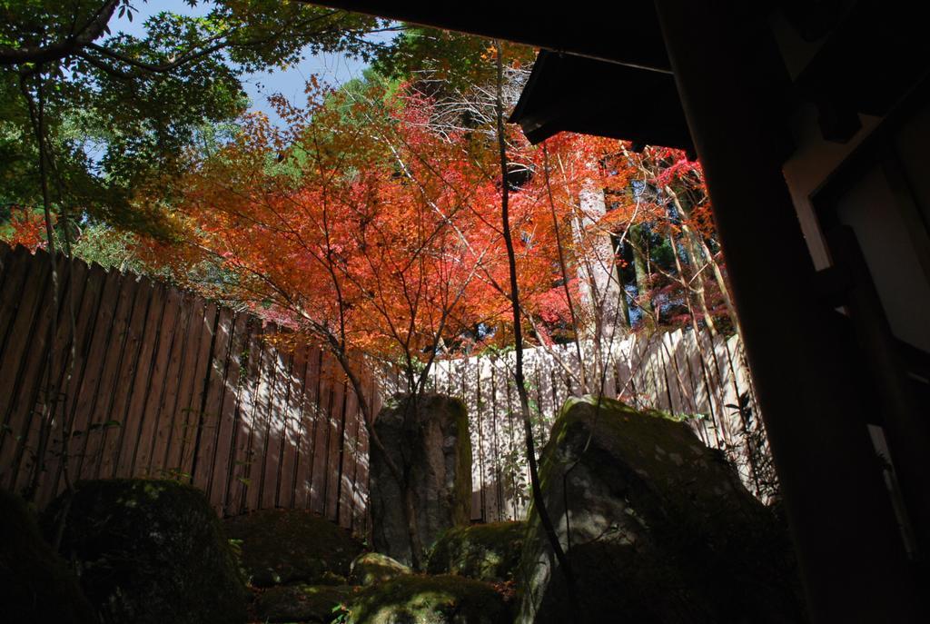 Akizuki Spa Ryokan Seiryuan Asakura  Екстер'єр фото